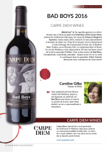 Fine Wine Guide 2018 (versiune electronică PDF, limba română) - imagine 2