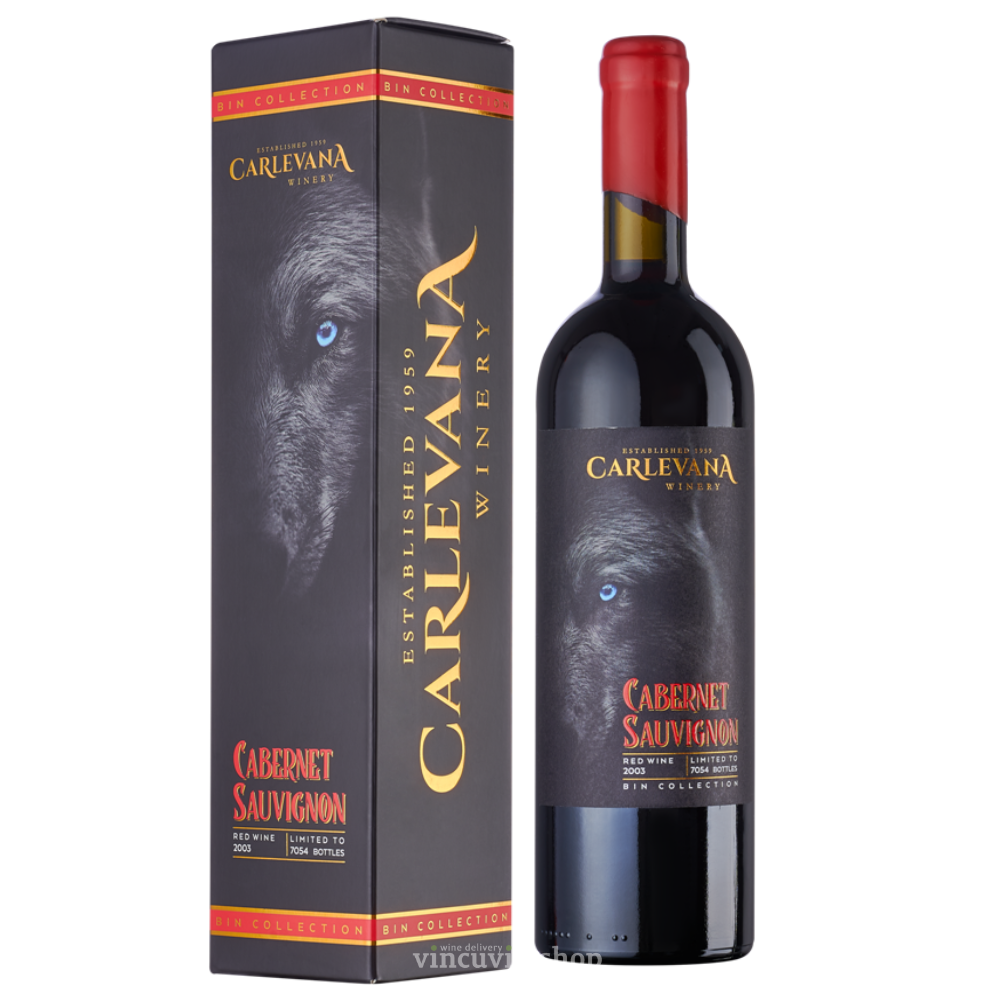 155/PAULNIRVANAニルヴァーナ シカリオカルテル 中古・古着通販